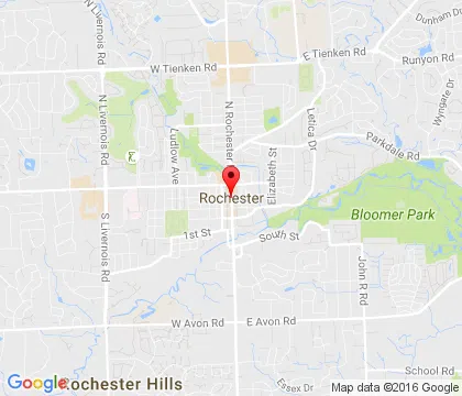 logo-image - Rochester-MI